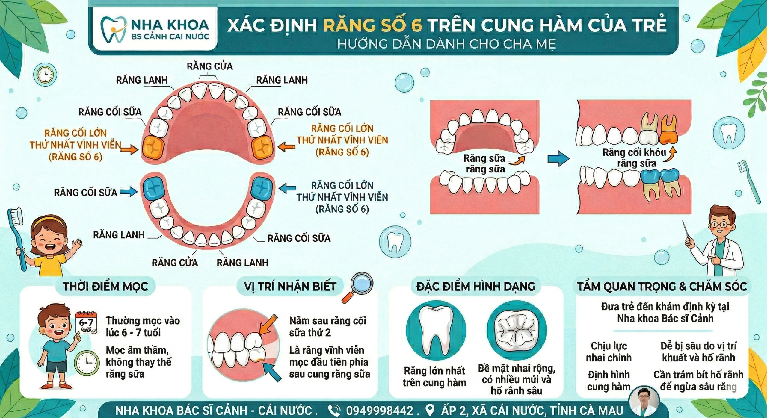 Răng số 6 ở trẻ 6 tuổi